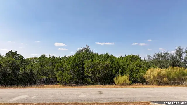 169 Los Colinas, Spring Branch, TX 78070 - #3