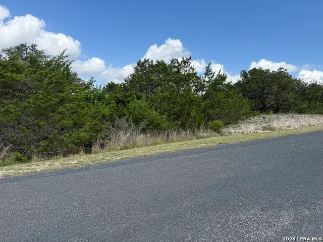 155 Lipizzan Ln, Spring Branch, TX 78070 - #3