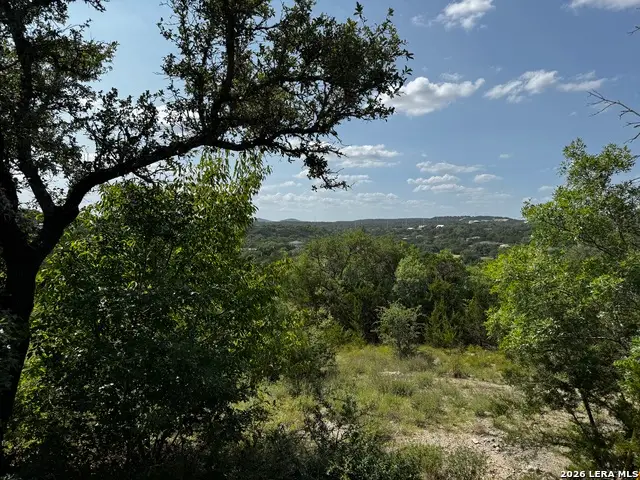LOT 2 Hillside Drive, Spring Branch, TX 78070 - #3
