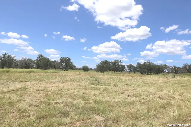 219 County Road 331, Floresville, TX 78114 - #3