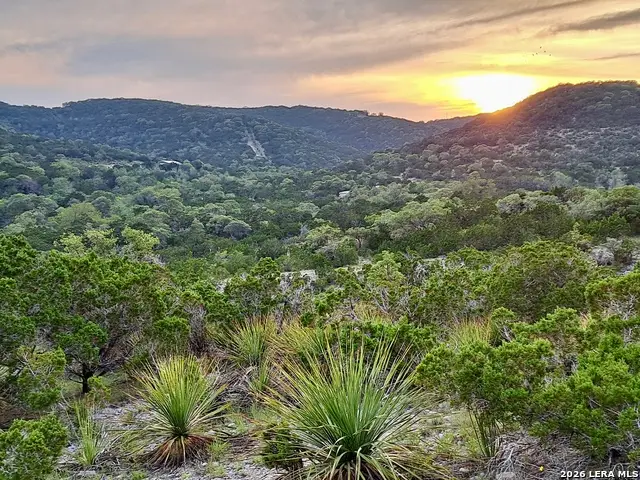 LOT 90 Bear Springs Road, Pipe Creek, TX 78063 - #1