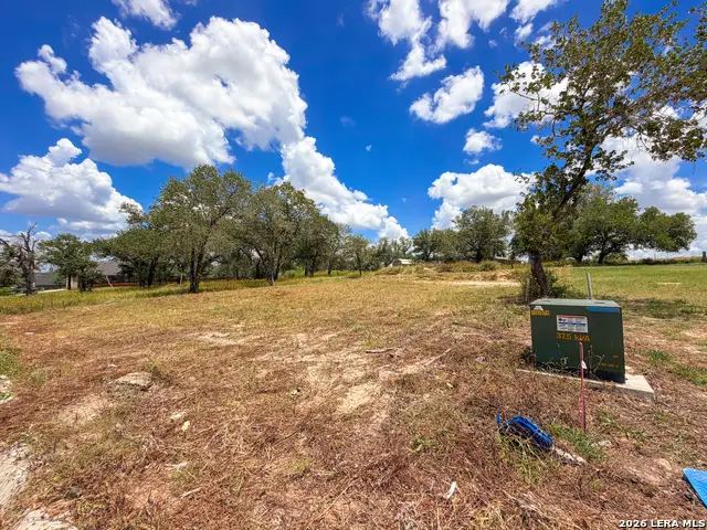 165 Ash Parkway, La Vernia, TX 78121 - #2