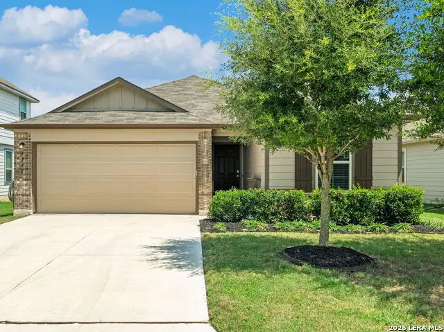 3232 Field Thistle, New Braunfels, TX 78130 - #1