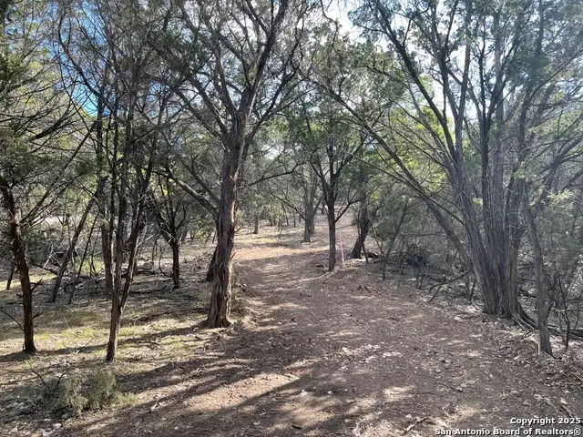 LOTS 1-24 W 36th, Lakehills, TX 78063 - #3