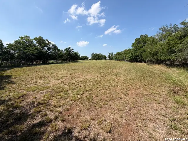 902 Fulcher St, Blanco, TX 78606 - #2