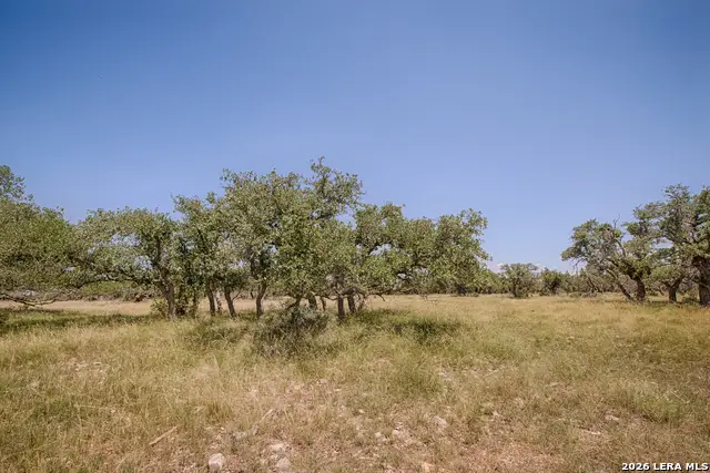 LOT 86 Stock Pond Drive, Harper, TX 78631 - #3