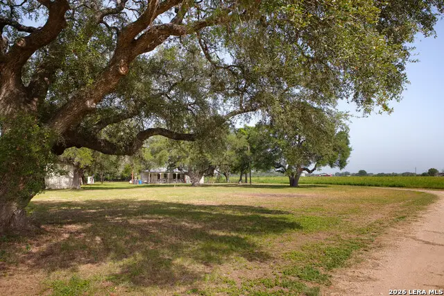4901 Lower Seguin (5 Acres) Rd, Cibolo, TX 78108 - #3