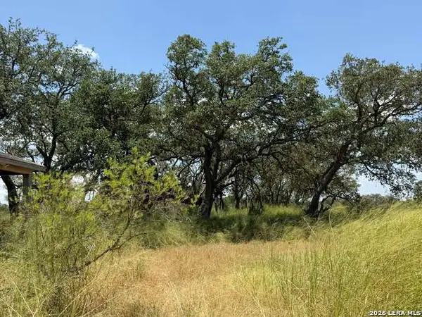 380 County Road 6723, Natalia, TX 78059