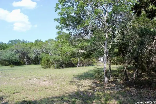 197 Rosenberry, Bulverde, TX 78163 - #2