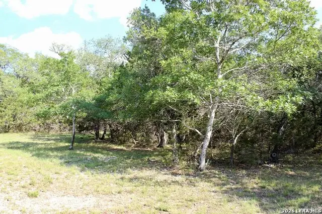 197 Rosenberry, Bulverde, TX 78163 - #3