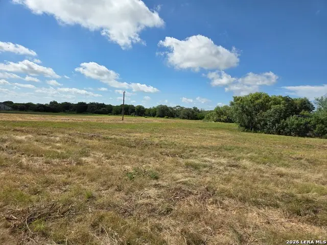 1016 S Abbot Rd, Saint Hedwig, TX 78152 - #2