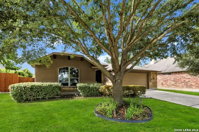 238 Pecan Gap, New Braunfels, TX 78130 - #3