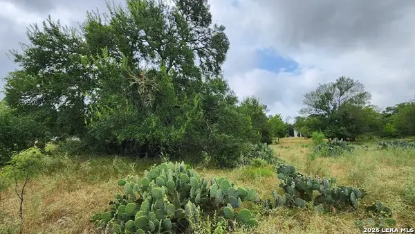 13505 Frenchmans Cv, San Antonio, TX 78253