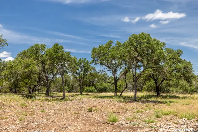 0 Cherry Creek Road, Hunt, TX 78024 - #2