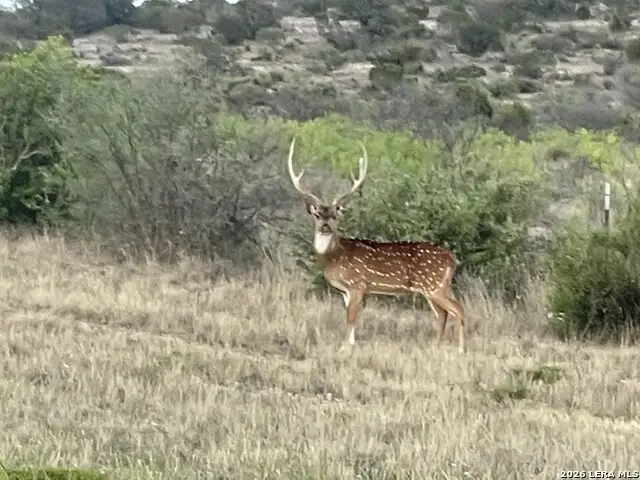21 N High Lonesome Ranch, Comstock, TX 78837 - #1