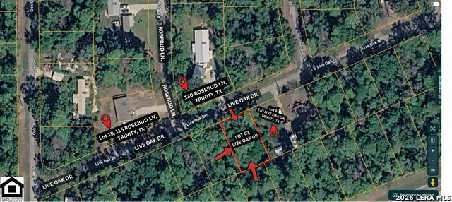 0 Live Oak, Trinity, TX 75862 - #3