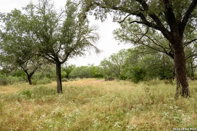 501-799 Pr D55, Poteet, TX 78065 - #2