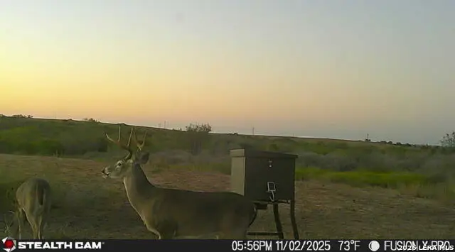 00 S County Road 153, Kenedy, TX 78119 - #1