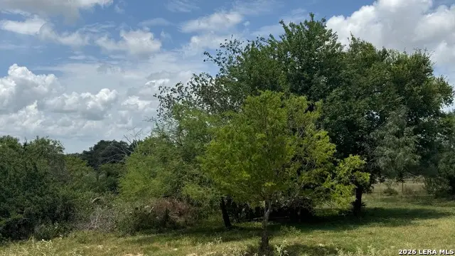 296 Strasbourg St, Castroville, TX 78009 - #2