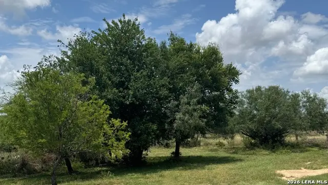 296 Strasbourg St, Castroville, TX 78009 - #3