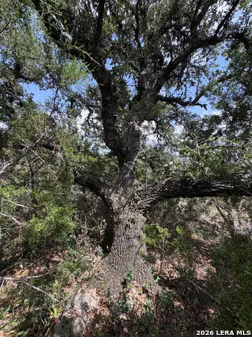 358 (LOT 1241) Toucan Dr, Spring Branch, TX 78070 - #3