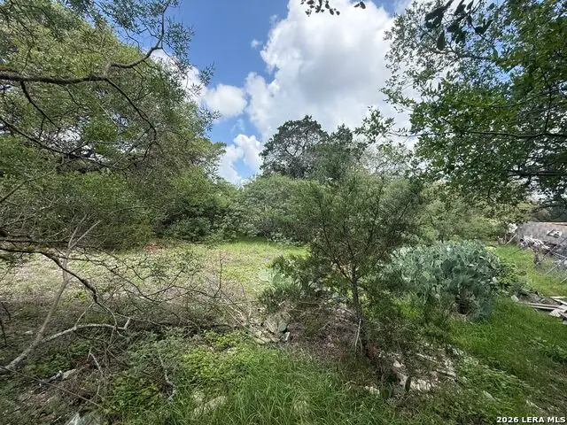 148 Legion Dr, Lakehills, TX 78063 - #2