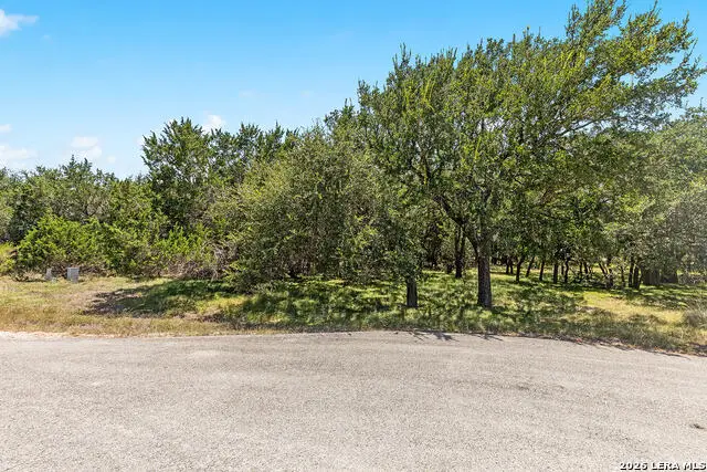 1187 Long Mdw, Spring Branch, TX 78070 - #3