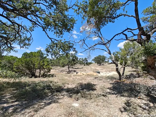 2219 Hiline Dr, Bulverde, TX 78163 - #2