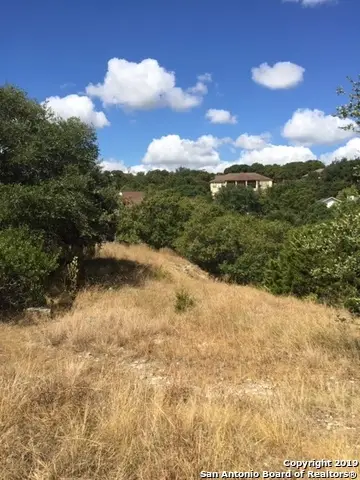 318 Gallagher Dr, Canyon Lake, TX 78133 - #3