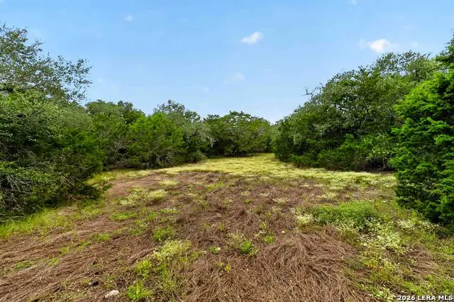 34893 Thanksgiving Trl, Bulverde, TX 78163 - #1