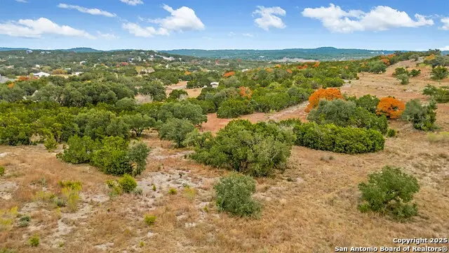 833 Bell Canyon Way, Bulverde, TX 78163 - #1