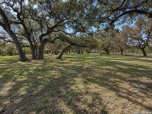 266 Autumn Ln, Poteet, TX 78065 - #2