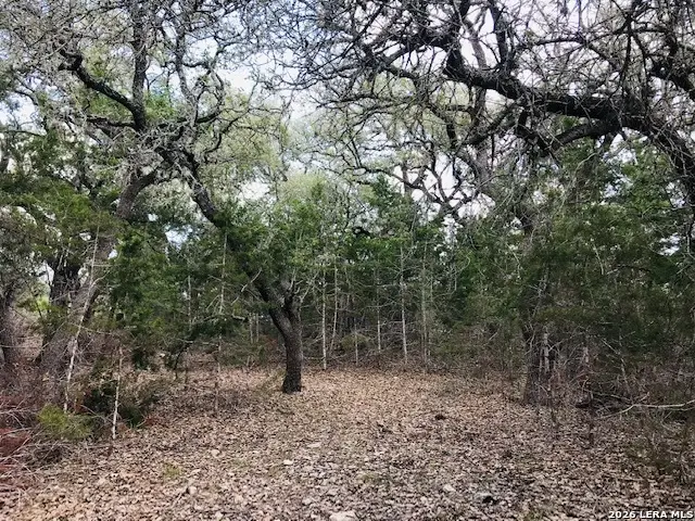 LOT 4 Rio Lantana, Pipe Creek, TX 78063 - #2