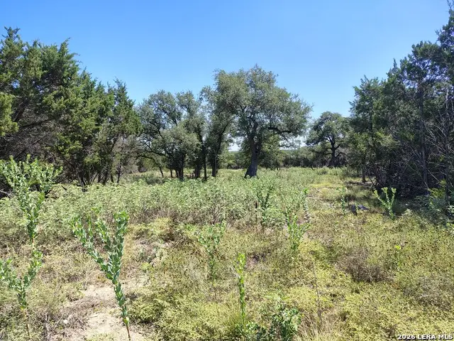 32 Sotol Ln, Boerne, TX 78006 - #1
