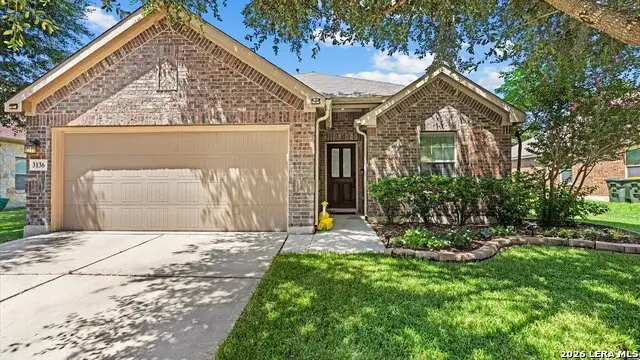3136 Muntjac, Schertz, TX 78154 - #2