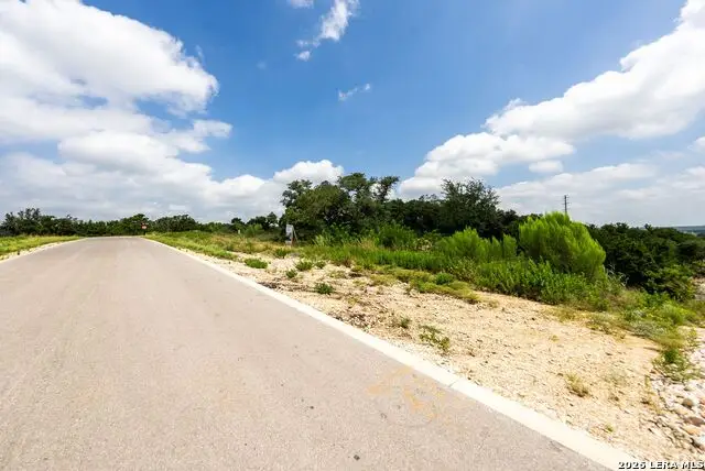 525 Rosemary Ridge Dr, Bulverde, TX 78163 - #3