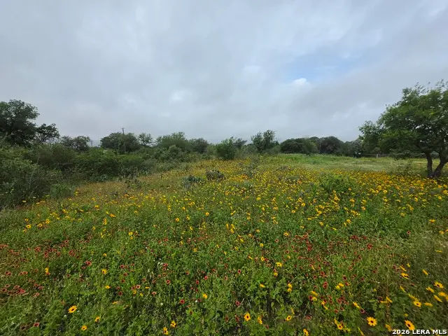 30 Wild Bee Dr, Von Ormy, TX 78073 - #3