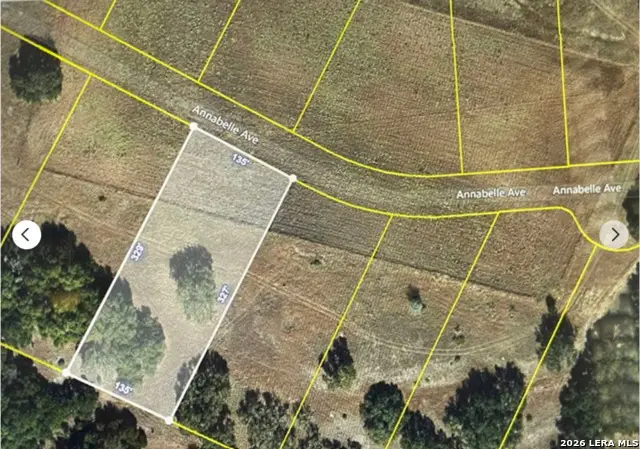 781 Annabelle Ave, Bulverde, TX 78163 - #1