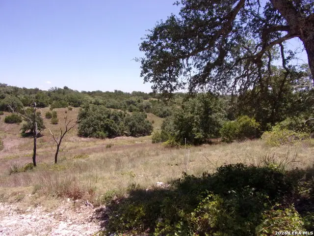 TBD E Twisted Oak Trail, Blanco, TX 78606 - #2