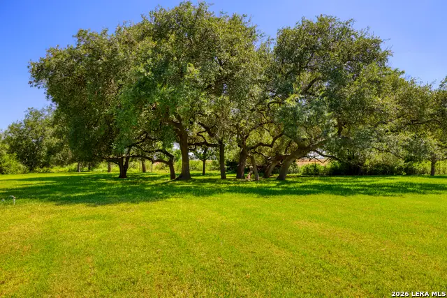 433 Mills Ln, Uvalde, TX 78801 - #2