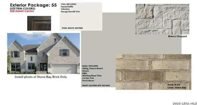 528 Desert Cactus, San Antonio, TX 78253 - #3
