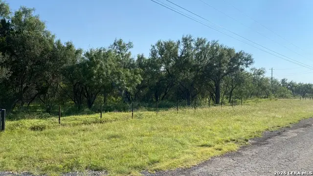 523 Kahn Rd, Rio Frio, TX 78879 - #3