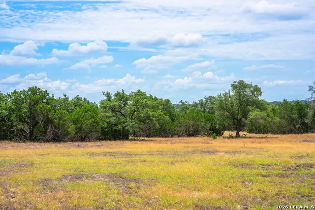 1468 Vanguard Ridge Rd, Kerrville, TX 78028 - #3