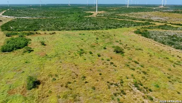 TRACT 4 (56AC) San Pablo Rd Tract 4, Bruni, TX 78344