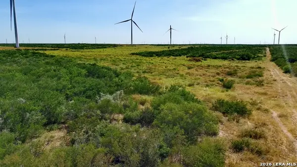 TRACT 6 (80AC) San Pablo Dr, Bruni, TX 78344