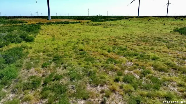 TRACT 6 (80AC) San Pablo Dr, Bruni, TX 78344 - #3