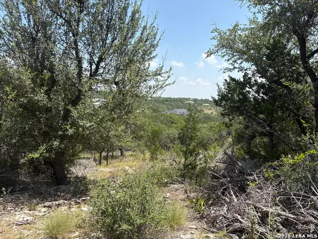 564 (LOT 2000) Rock Trail Place, Spring Branch, TX 78070 - #2