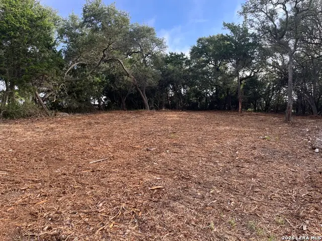 1371 Four Winds Dr, Canyon Lake, TX 78133 - #1