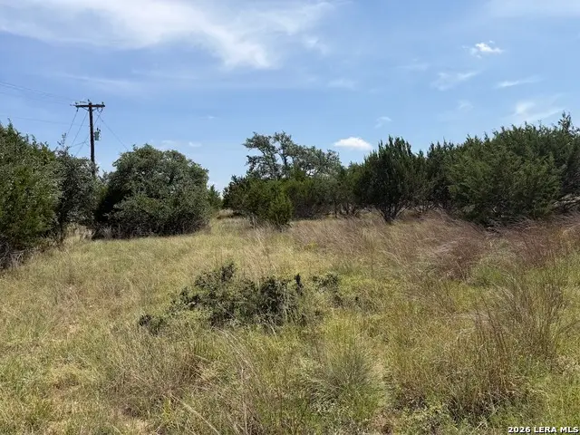 105 S Jerry Gray, Blanco, TX 78606 - #3