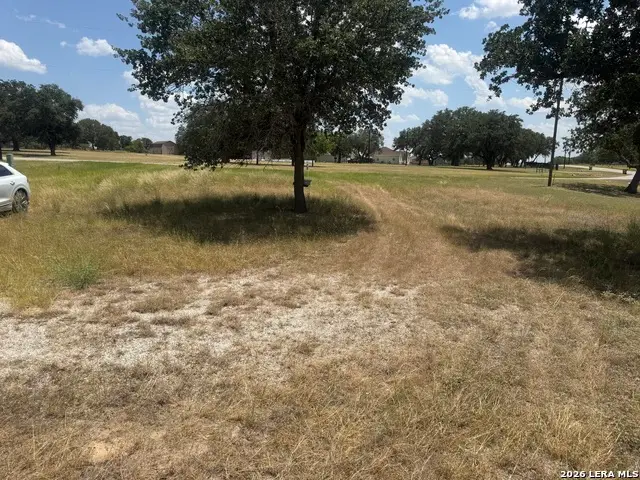 313 Eagle Ridge Dr, Floresville, TX 78114 - #2